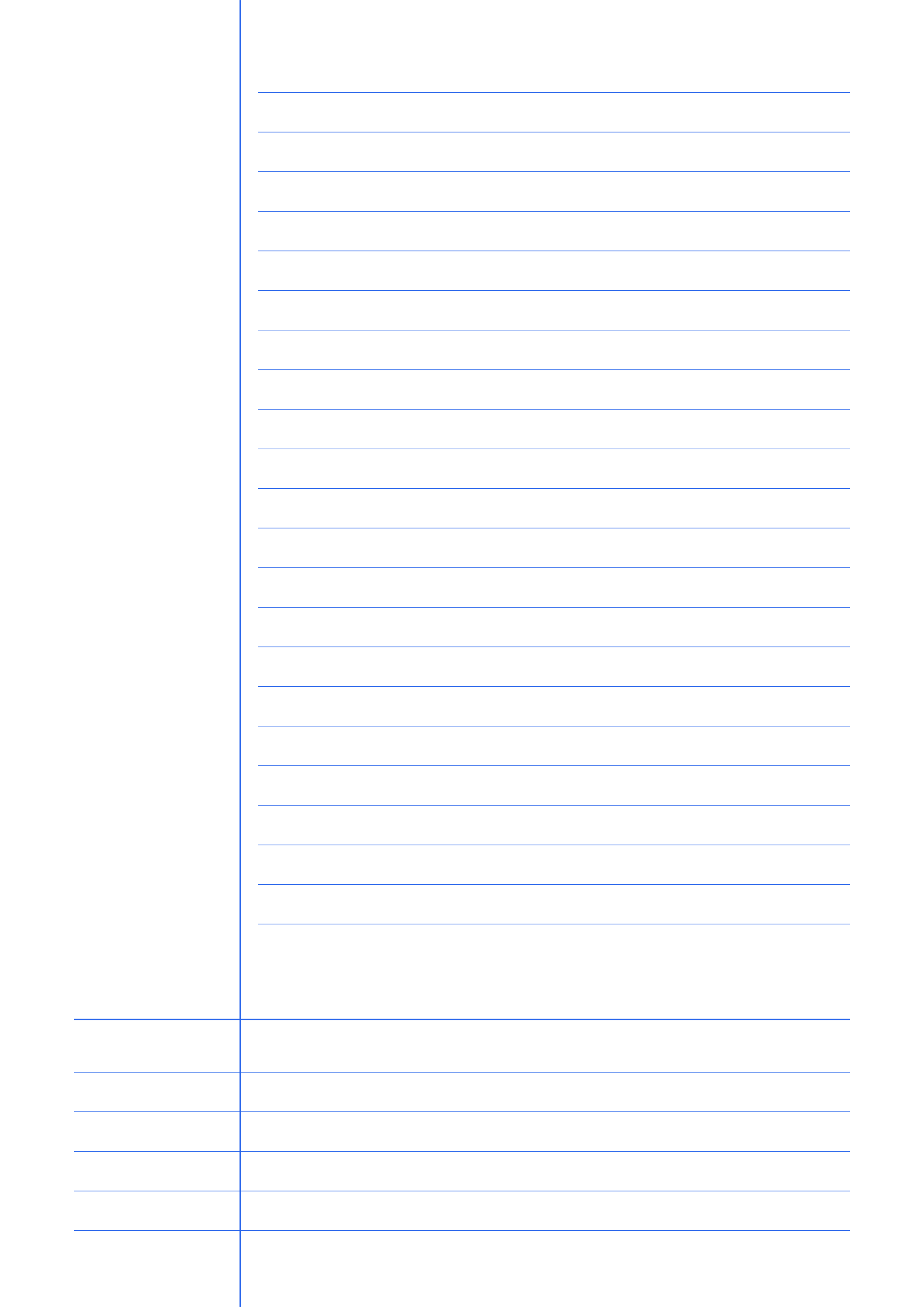 A4 5mm Printable Cornell Notes Paper preview